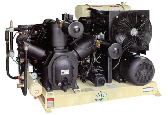 30/40 Bar Booster Reciprocating Air Gas Piston Compressor for Industrial